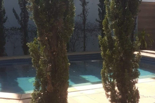 Imagem 3 da galeria do parceiro Clinica kairos