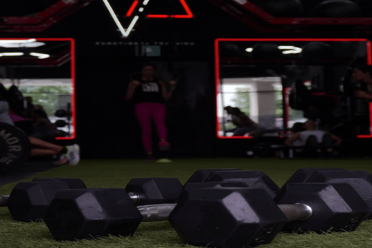 Imagen 1 de la galería del partner Relevance