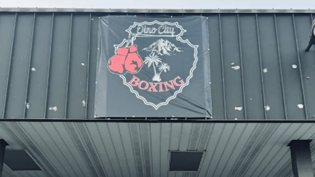 Image 2 from Dino City Boxing Academy partner gallery