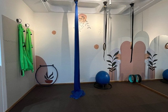 Imagem 2 da galeria do parceiro Lidiane Teles - Pilates e Fisioterapia