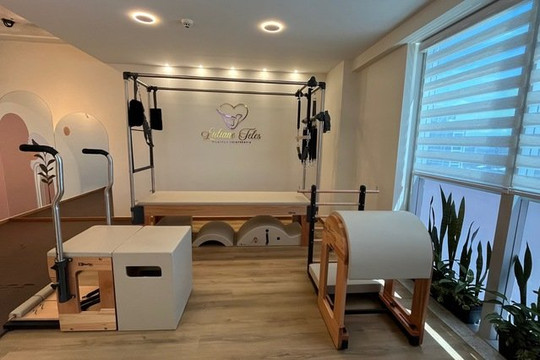 Imagem 1 da galeria do parceiro Lidiane Teles - Pilates e Fisioterapia