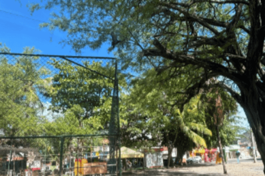 Imagem 3 da galeria do parceiro Cj Team Ftv Unidade 2