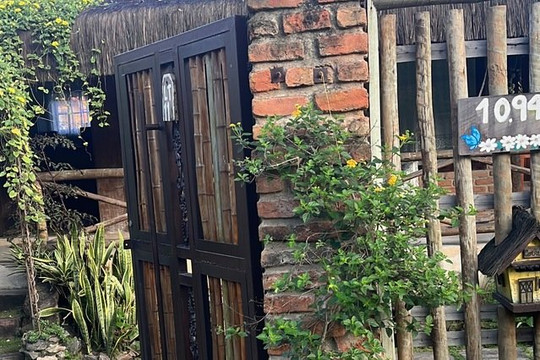 Imagem 2 da galeria do parceiro Temple Yoga Shala