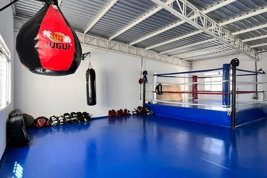 Imagem 1 da galeria do parceiro CT TRIADE