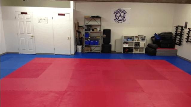 Image 2 from Westmount Karate-Do & Kobudo Club partner gallery