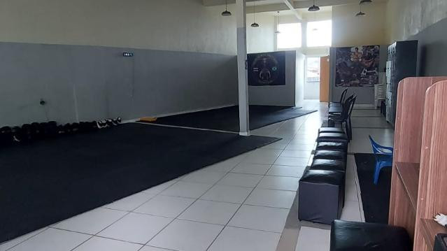 Imagem 3 da galeria do parceiro Equipe de Muay Thai e Boxe Manada Team