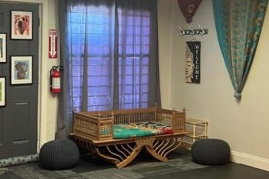 Image 1 from 4DogsDown Yoga partner gallery