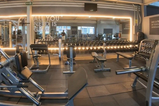 Imagen 1 de la galería del partner Wonder Gym