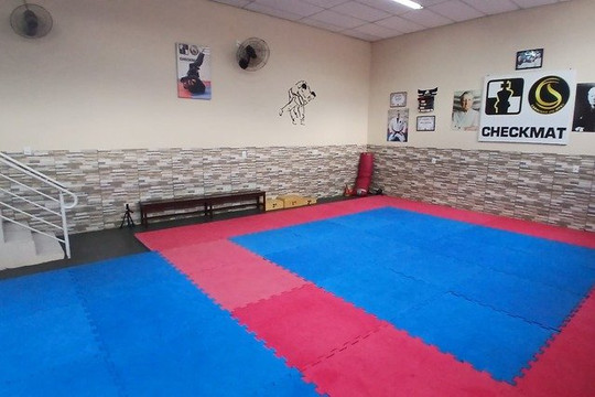 Imagem 1 da galeria do parceiro Carrenho Jiu Jitsu