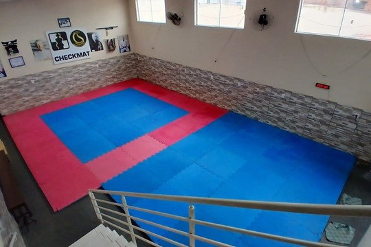 Imagem 3 da galeria do parceiro Carrenho Jiu Jitsu
