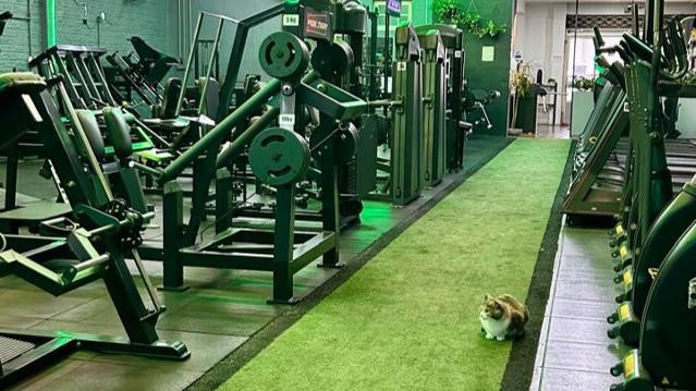 Imagem 3 da galeria do parceiro Sigma Centro de Treinamento