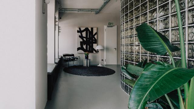 Imagem 2 da galeria do parceiro Solid People