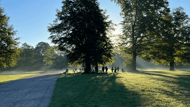 Bild 2 von Janina Erlacher Yoga x Englischer Garten Partnergalerie