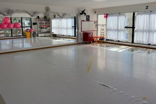 Imagem 1 da galeria do parceiro Ballet Pro Arte