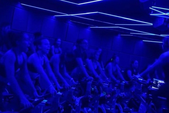 Imagen 1 de la galería del partner Alive