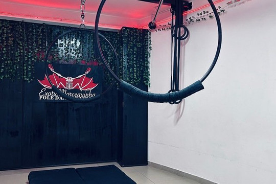Imagem 3 da galeria do parceiro Pole Dance e Circo - ExoticMorceguinha