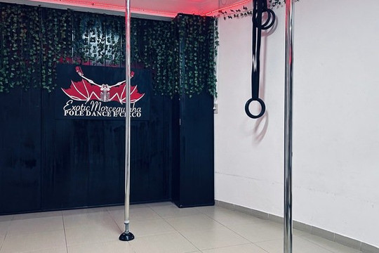 Imagem 2 da galeria do parceiro Pole Dance e Circo - ExoticMorceguinha