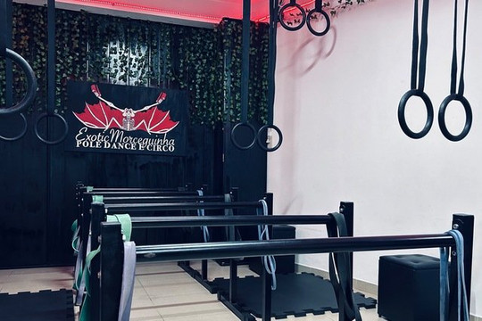 Imagem 1 da galeria do parceiro Pole Dance e Circo - ExoticMorceguinha