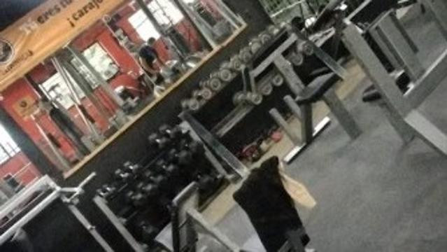 Imagen 1 de la galería del partner Steel Winner Fitness