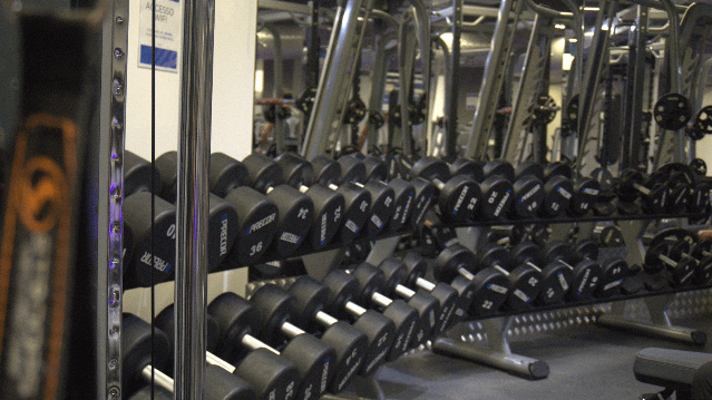 Immagine 3 dalla galleria del partner Anytime Fitness Bergamo