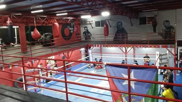 Imagen 1 de la galería del partner Team Muciño box