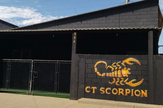 Imagem 2 da galeria do parceiro CT SCORPION VGP