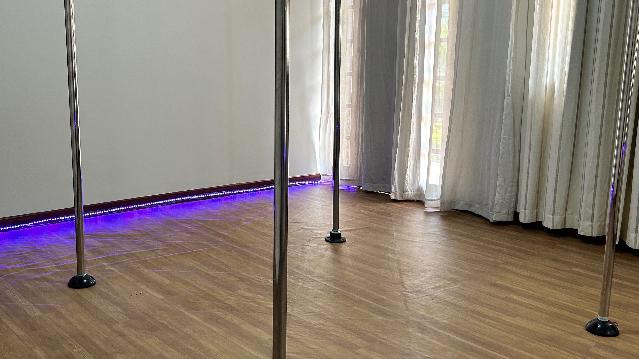 Imagem 3 da galeria do parceiro Estúdio Aniz Escola de Pole Dance