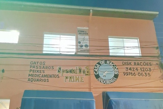 Imagem 2 da galeria do parceiro Studio Adrielli Isidoro