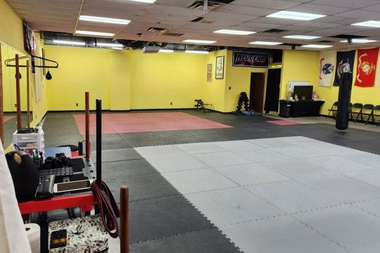 Image 2 from Phoenix Martial Arts Academy partner gallery