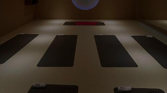 Imagen 1 de la galería del partner Akala Sanctuary