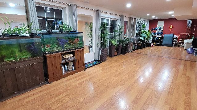 Image 3 from Seeking Tai Chi partner gallery