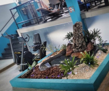 Imagem 3 da galeria do parceiro O2 Vila Verde