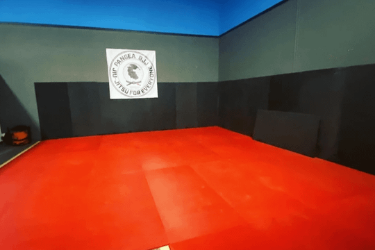 Image 3 from Pangea Jiu Jitsu partner gallery