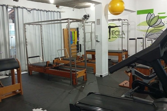 Imagem 1 da galeria do parceiro Tecla Studio Pilates