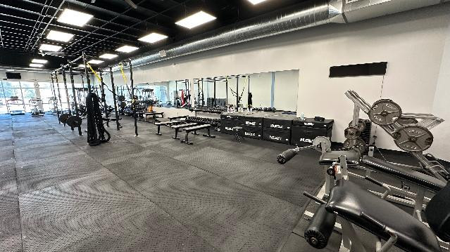 Image 2 from Phase Gym Bluff Park partner gallery
