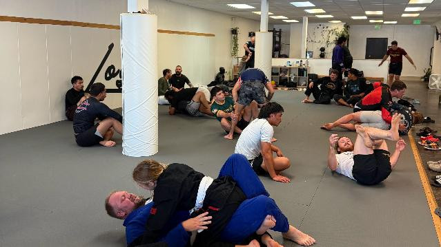 Image 1 from Logic Jiu Jitsu partner gallery