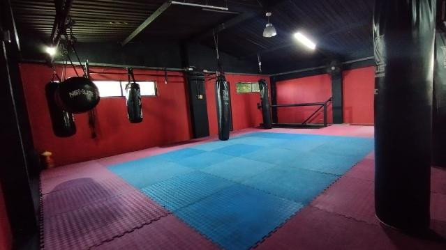 Imagen 1 de la galería del partner Train2Fight