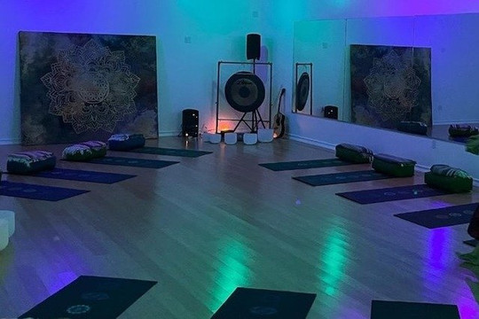 Image 1 from Lizard Yoga partner gallery