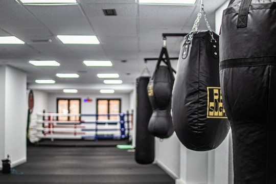 Imagen 1 de la galería del partner Club de boxa Red bird