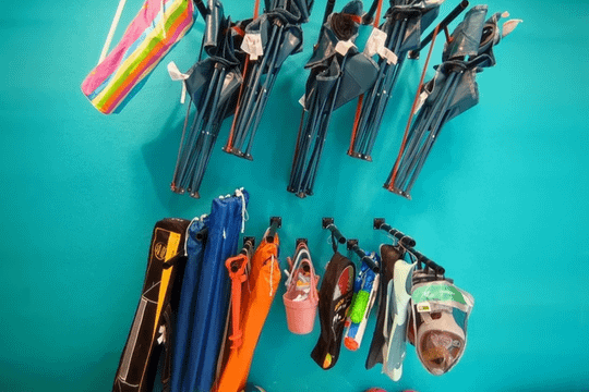 Imagen 2 de la galería del partner Beachin' Beach Equipment Rental