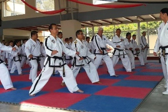 Imagen 2 de la galería del partner Taekwondo ITF