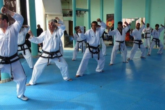 Imagen 3 de la galería del partner Taekwondo ITF