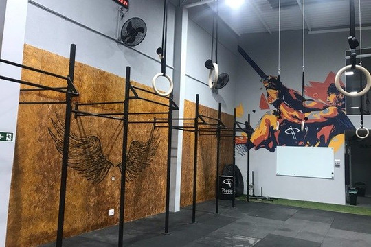 Imagem 3 da galeria do parceiro Proform's