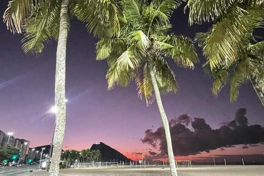 Imagem 2 da galeria do parceiro Get Well Fit
