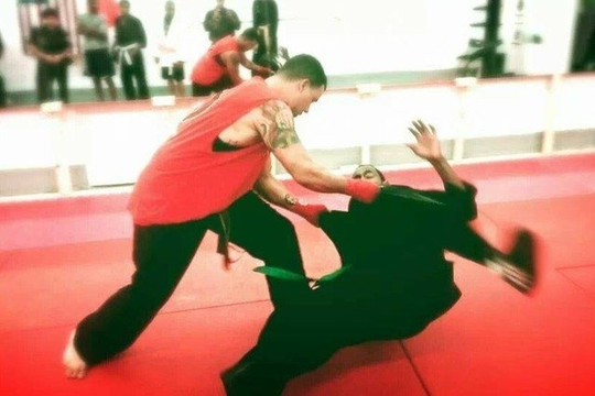 Image 3 from Ring Dragon Martial Arts partner gallery