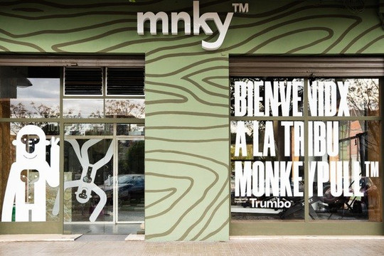 Imagen 3 de la galería del partner MONKEY PULL