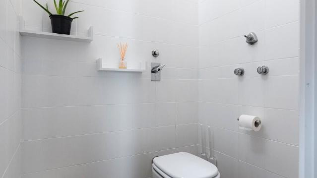 Imagen 3 de la galería del partner Graceful Strength Studio