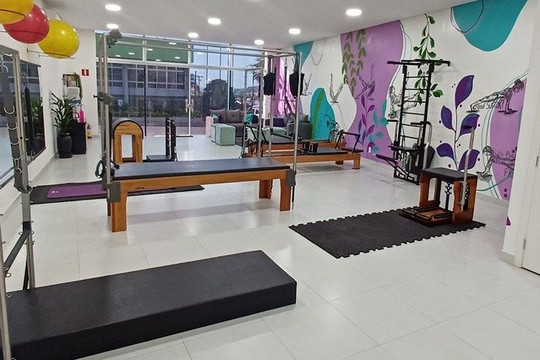 Imagem 1 da galeria do parceiro Stella Lobo Pilates