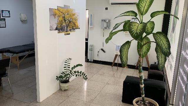 Imagem 3 da galeria do parceiro Móbili Pilates