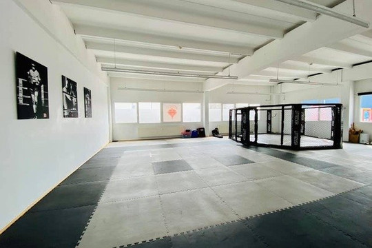 Bild 1 von HERZBLUT Partnergalerie